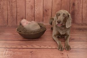 baby-pictures-newborn-photography-dublin-leinster-24