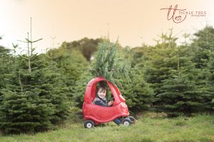 Christmas tree farm Dublin Child photography