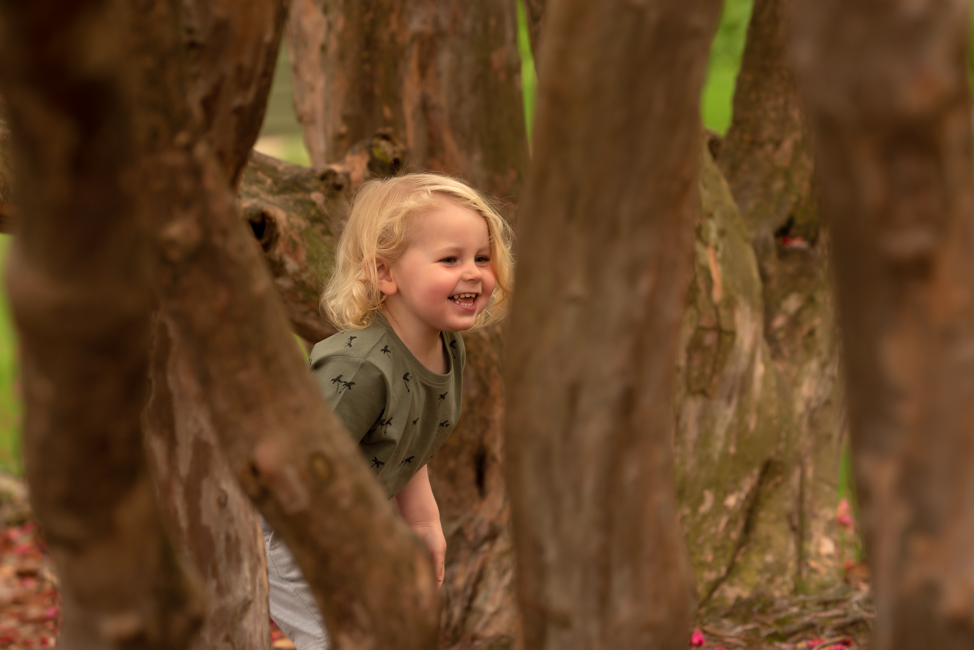 Boy playing happily in trees