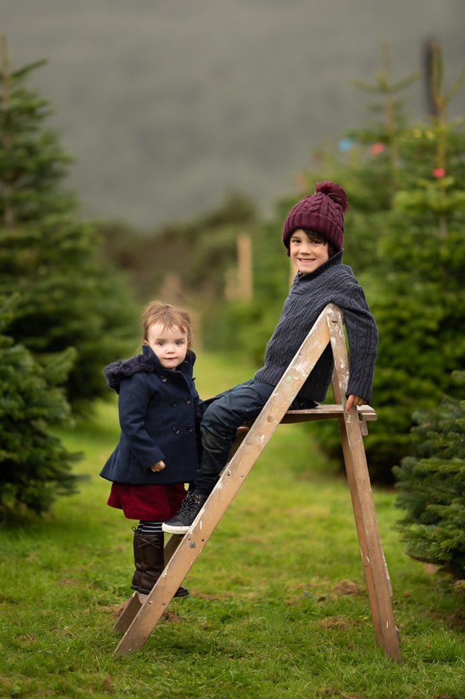 Family Photographer Dublin 