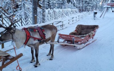 Lapland- the most magical place on Earth!